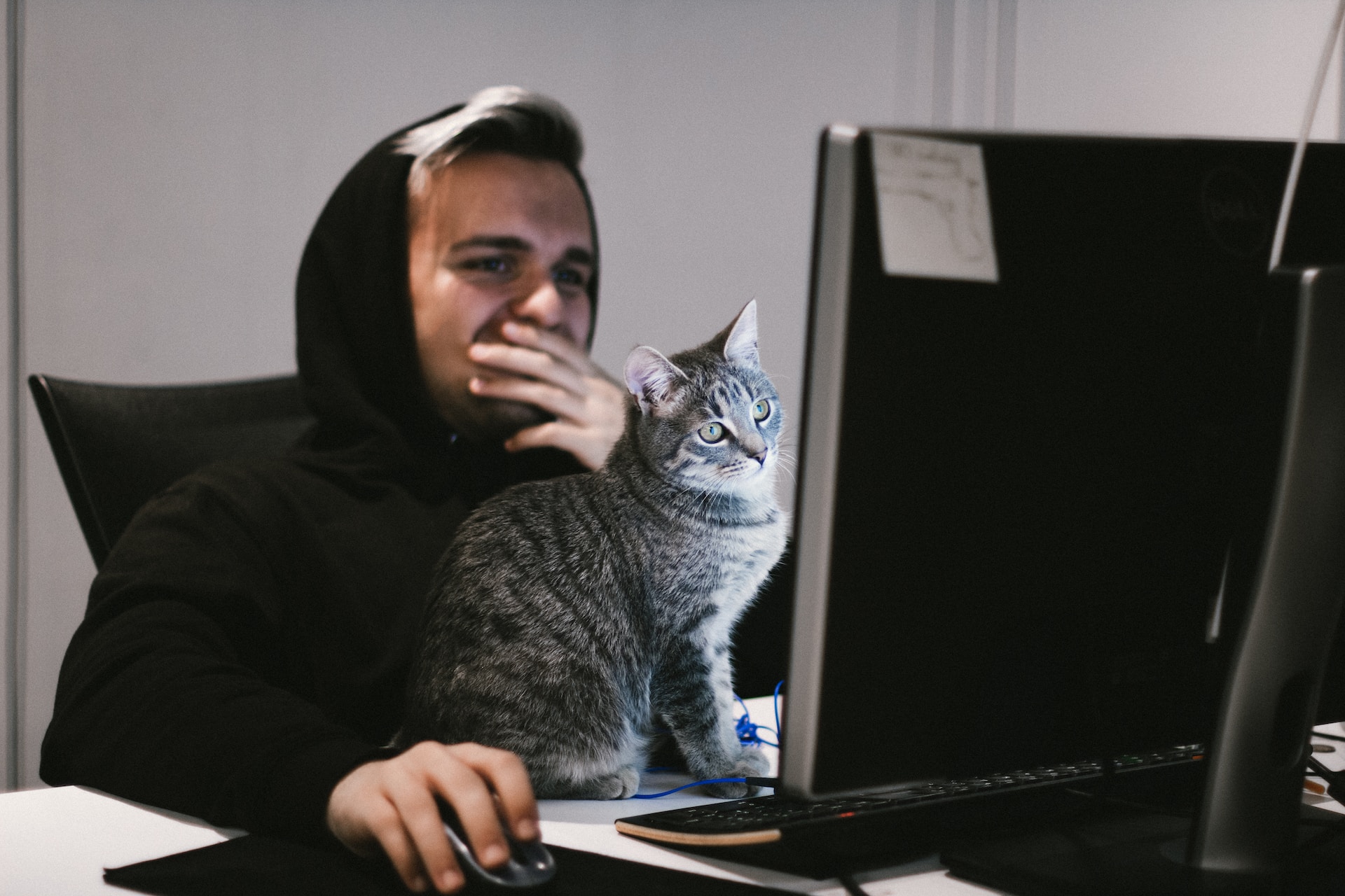 Read more about the article Hvordan nettcasinoer skaper et sosialt miljø