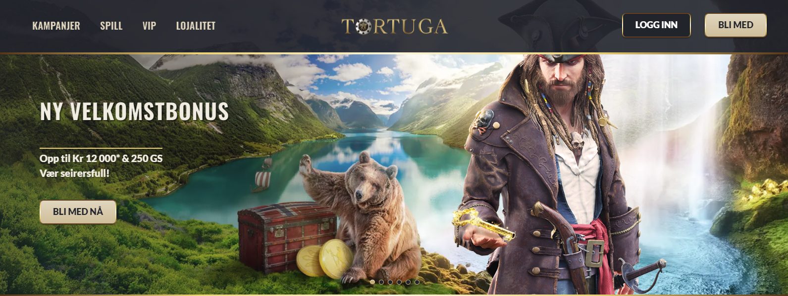 Interface de Tortuga Casino