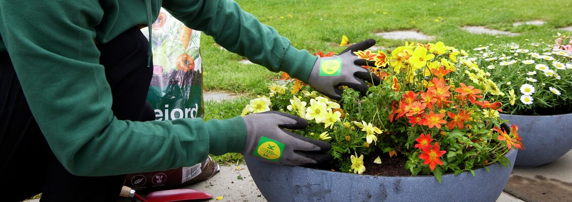 Read More About The Article Nye Casinotriks Fra Proffene – Slik Slår Du Huset I År